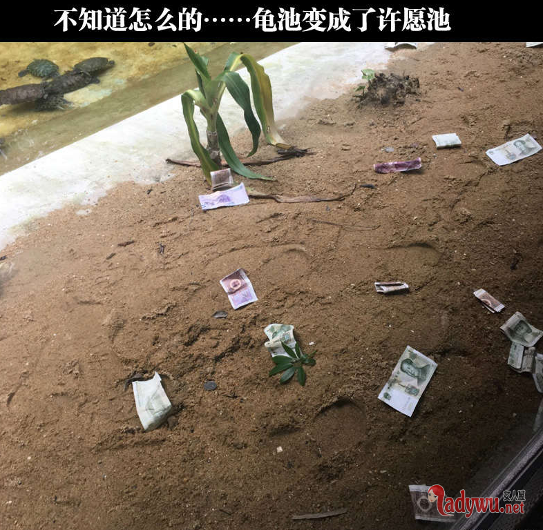搞笑图片笑死人不偿命