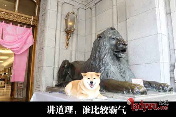 搞笑图片带文字大全