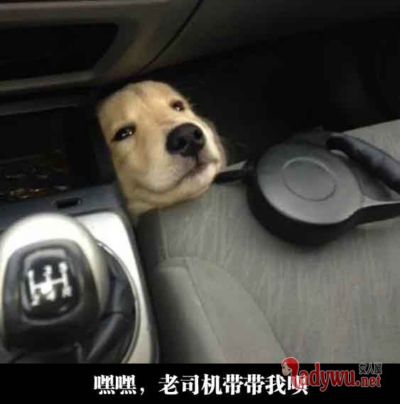 搞笑图片带文字大全