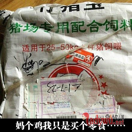 搞笑图片带文字大全