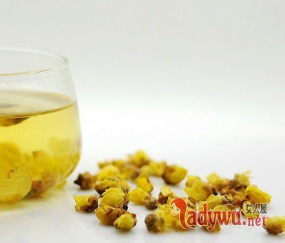 女性冬天喝什么茶最好
