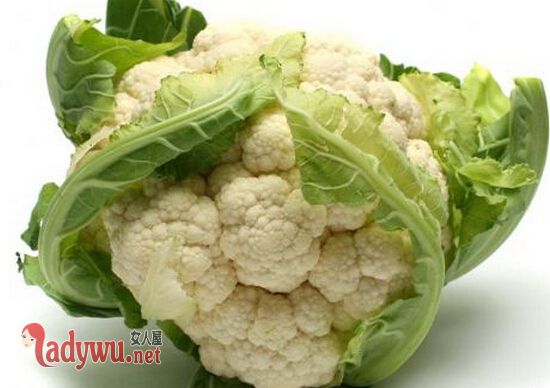 冬季吃什么菜好