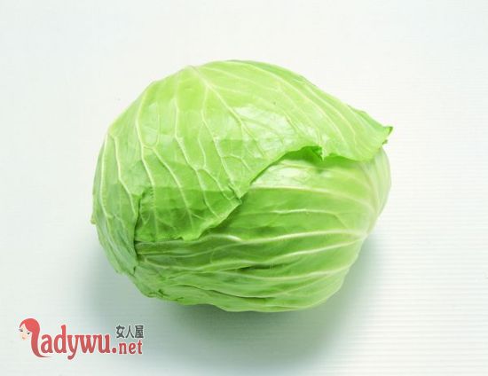 冬季吃什么菜好