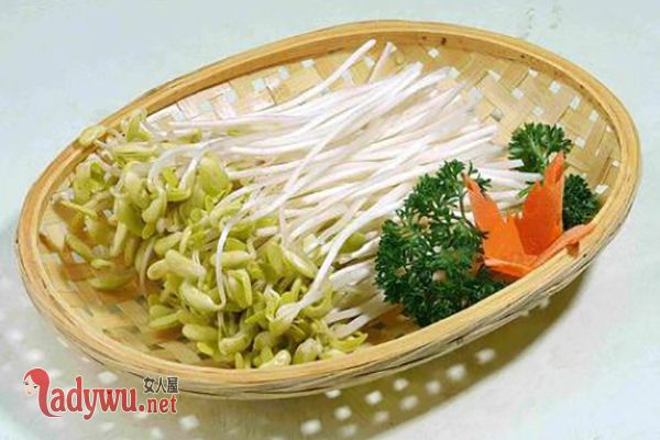 冬季吃什么菜好