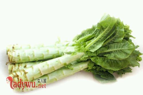 冬季吃什么菜好