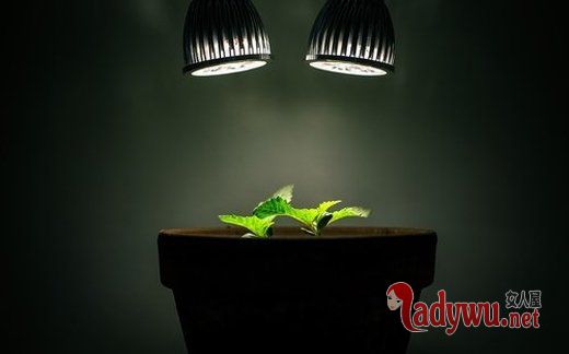 对生活宽容些 幸福就藏在你心里_意境图片