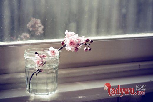 文艺范图片_物是人非 只愿各自安好
