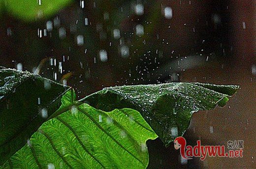 雨唯美伤感意境雨景_傲慢是我无法抹去的伤痕