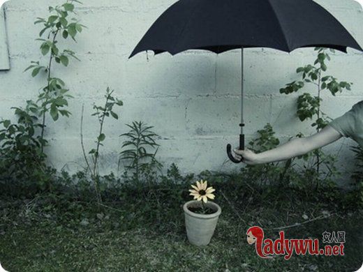 孤独黑伞意境图_我会用力飞翔 哪怕完美落地