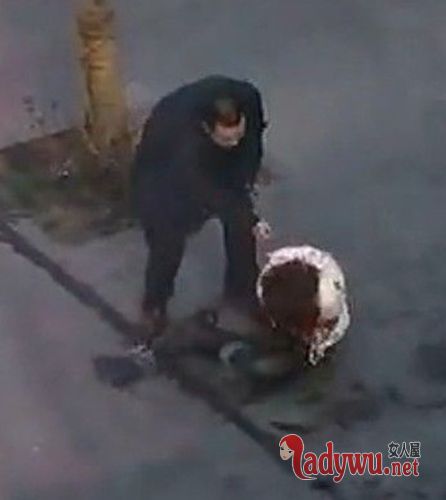 女子不堪男友施暴分手被捅8刀(网络配图)