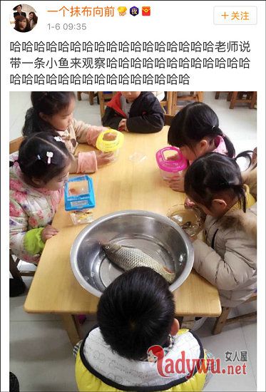 “带鱼孩子”刷爆网络