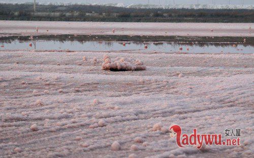 中国死海变玫瑰湖