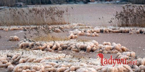 中国死海变玫瑰湖