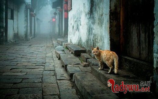 唯美小巷图片_我爱你是年少时最荒唐的认真_feizl.com