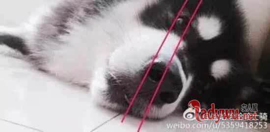 13万网友曝光行业秘密 门外汉看得沉迷无法自拔