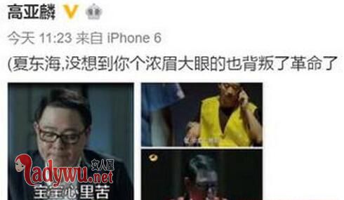 刘星夏东海先后入狱被调侃 高亚麟脑洞大开发自黑