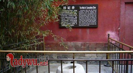 珍妃为什么会被推下井