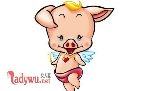 属猪男对感情怎么样