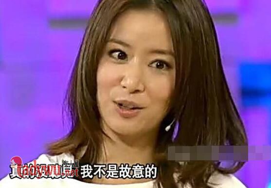 王力宏对林心如的评价