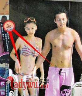 陈伟霆最爱的人是杨颖