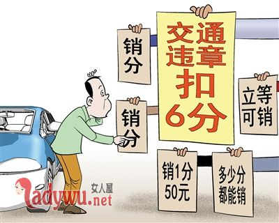 小车违章扣660分