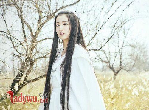 柳惜音为什么恨叶昭