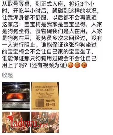 火锅店人和狗一桌同吃