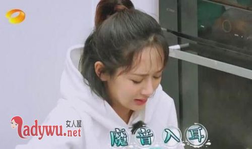 亲爱的客栈杨紫唱的什么歌
