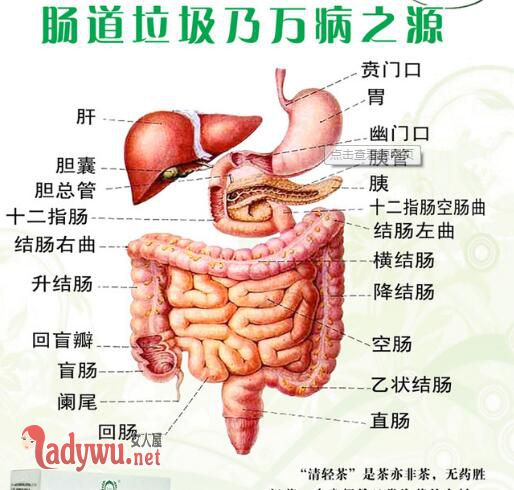 身体排毒最有效的方法