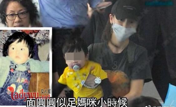 杨颖的宝宝正面照片