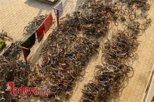 高校堆积僵尸单车
