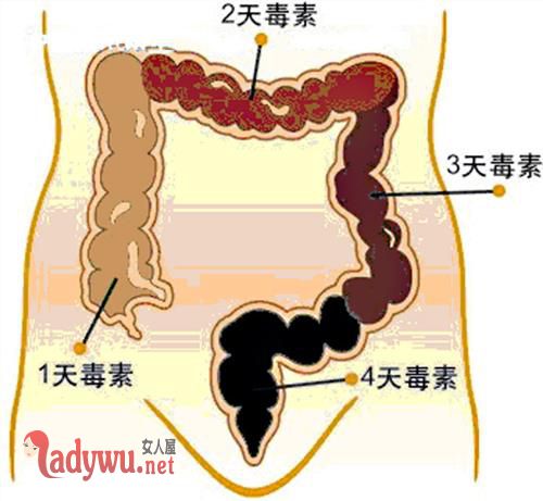 清肠道排宿便最有效的方法