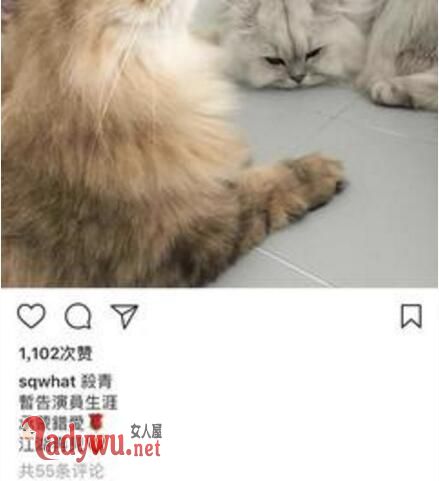 舒淇深夜发文