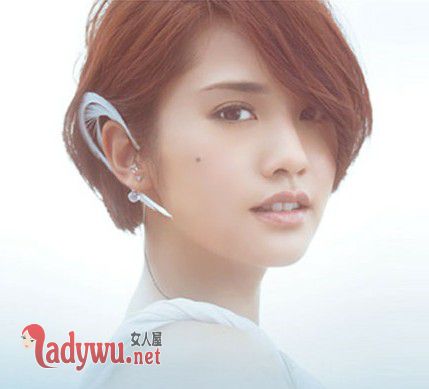 杨丞琳为什么遭禁