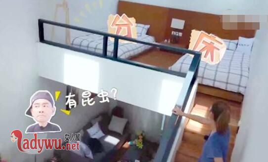 陈小春应采儿为何分床睡