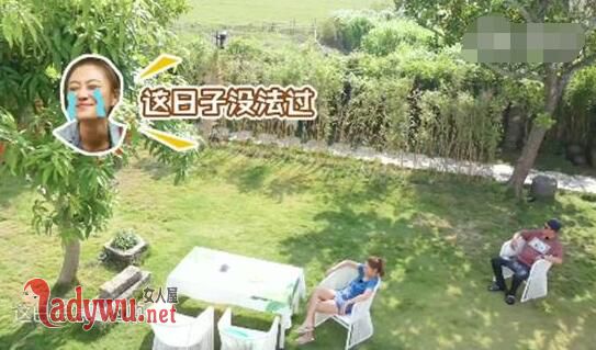 陈小春应采儿为何分床睡