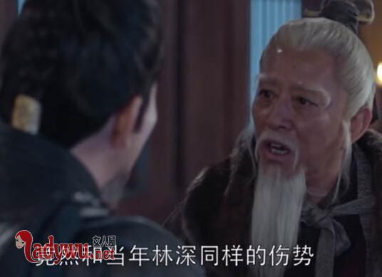 琅琊榜2林深是什么身份