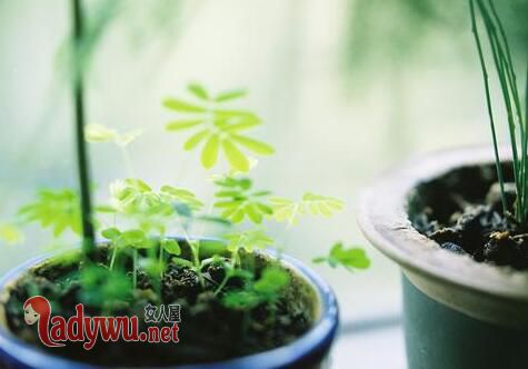 哪个星座最花心