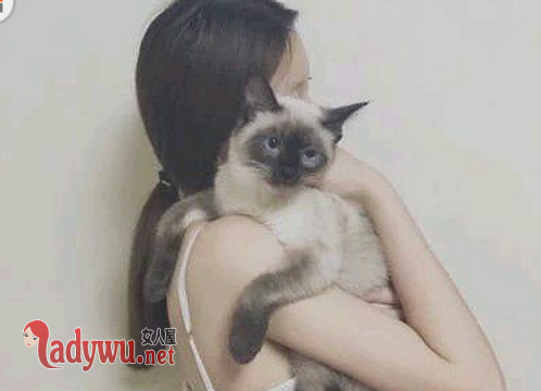 娇嫩的绝色美人妻