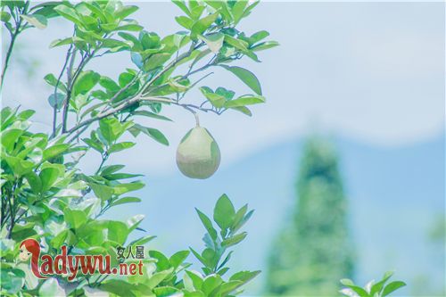 哪个星座高冷