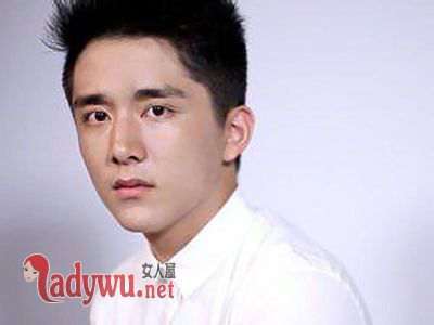 张新成整容了吗