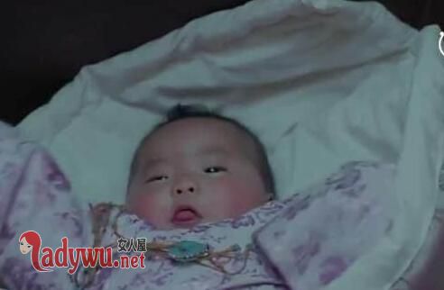 朱雀是楚玉的孪生妹妹刘楚秀吗