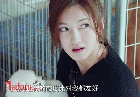恋爱先生程皓领养的狗是什么品种