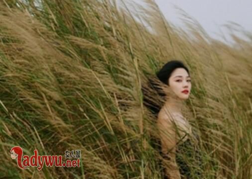 乡村野情美人沟