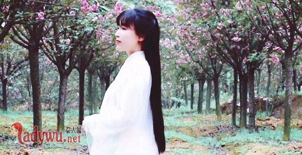 李子柒靠什么赚钱
