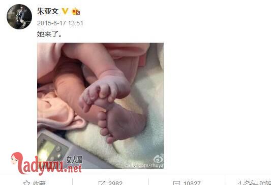 朱亚文沈佳妮怎么认识的
