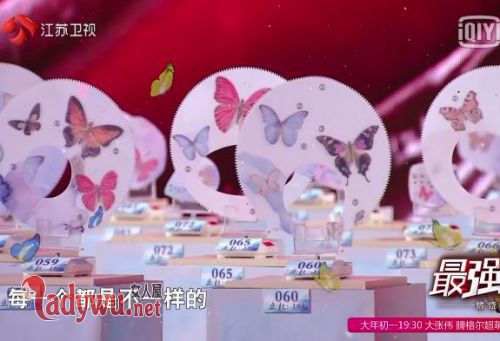 最强大脑繁花曲线规则