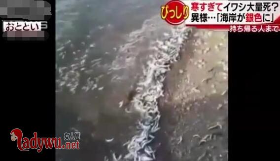 日本海岸诡异现象
