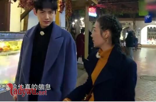 白敬亭郑合惠子在一起了吗