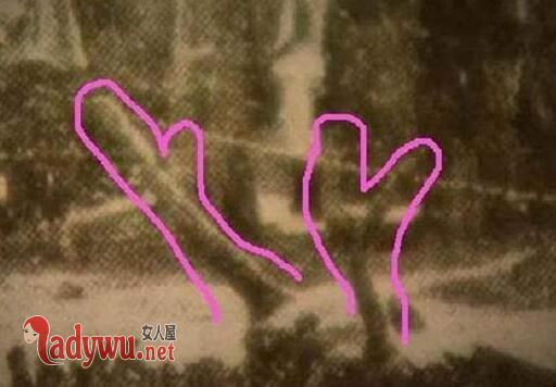 1934年营口坠龙事件是真的吗